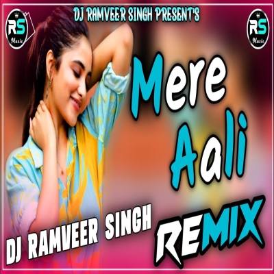 Mere Aali - Anjali Raghav (Hard Vibration Remix)